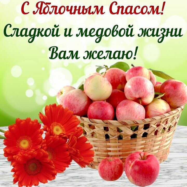Танцуют все. любимый танец советских детей родился не в ссср | cвободное время | аиф аргументы и факты в беларуси