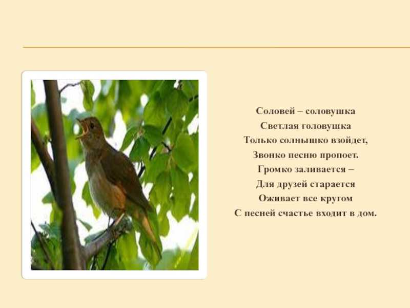 Россиньоль (опера) - abcdef.wiki