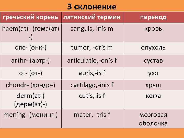 Кникус аптечный: лечебные свойства, рецепты, применение