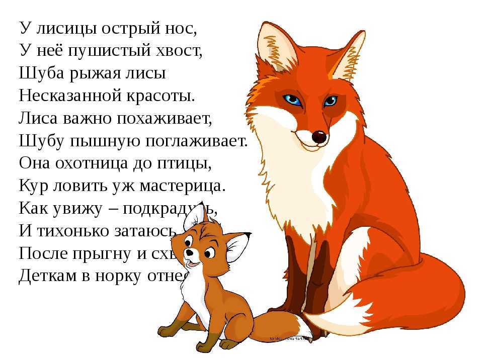 Приключения лисички-плутовки