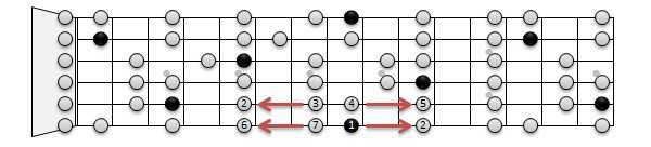 Диатонический и хроматический - diatonic and chromatic - dev.abcdef.wiki