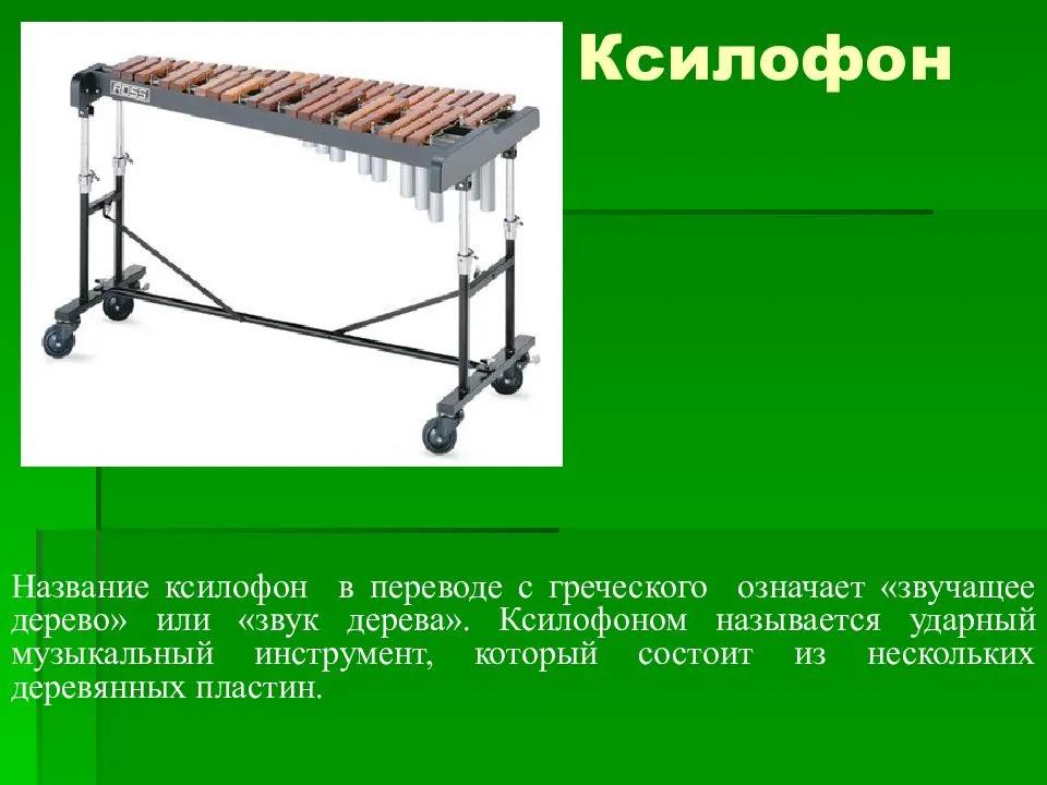 Ксилофон большой. ксилофон: интересные факты, видео, история, фото, слушать. эксклюзивная методика семицветик, шаг за шагом