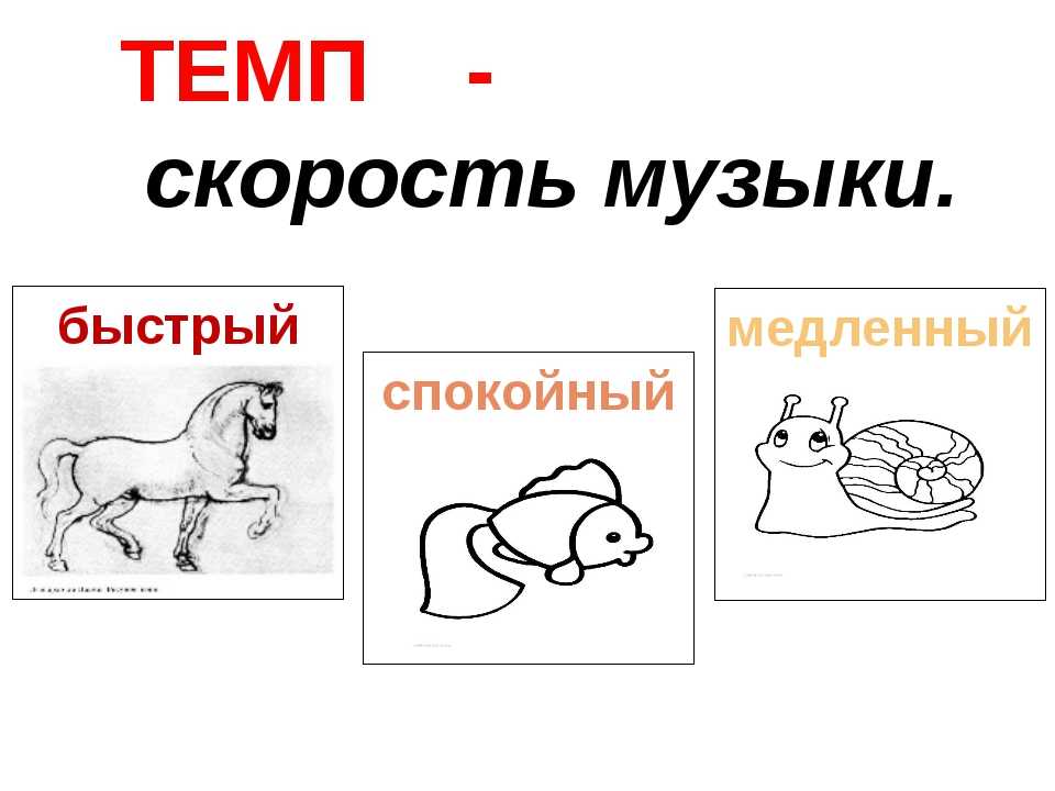 Темпы в музыке: медленные, умеренные и быстрые