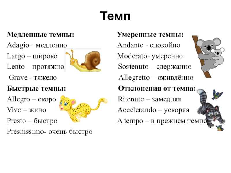 Темпы в музыке: медленные, умеренные и быстрые