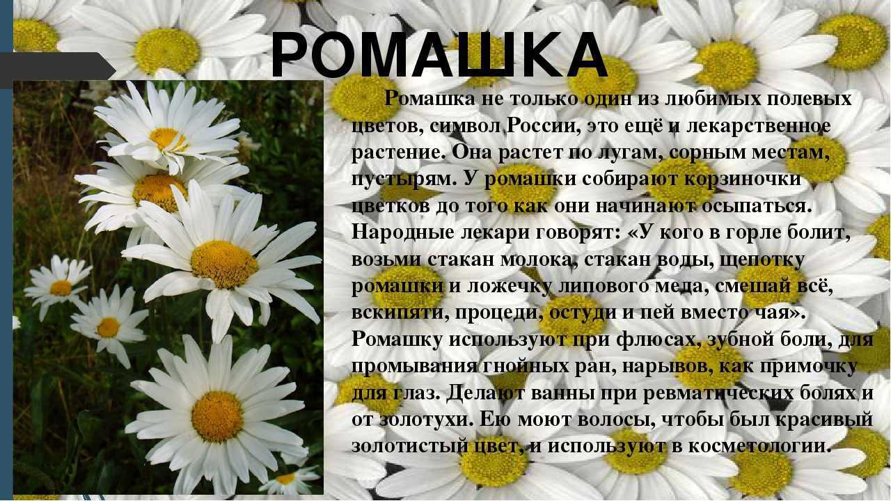 Ramil’