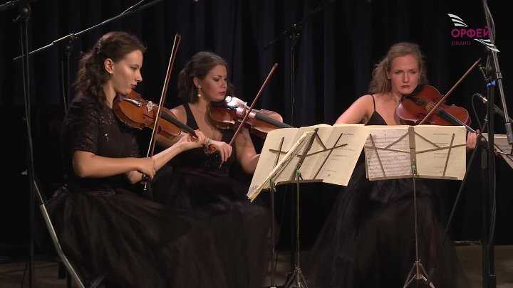 И девушка: шуберт. струнный квартет no. 14 («смерть и девушка») (string quartet no. 14 (d-moll), d. 810 («der tod und das mädchen»)) — шпильки — мода проходит, стиль остается