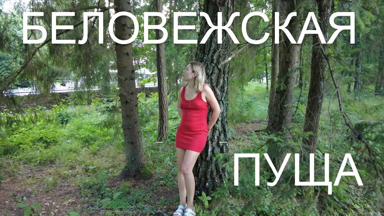Вспомним песни александры пахмутовой? история песен «беловежская пуща» и «я не могу иначе»