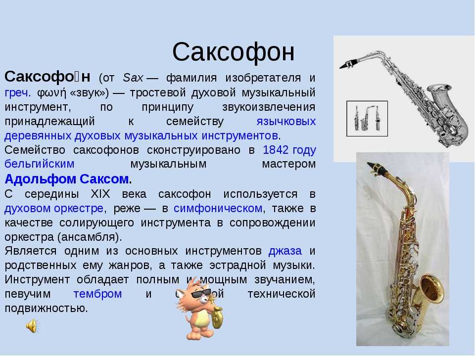 Концертина