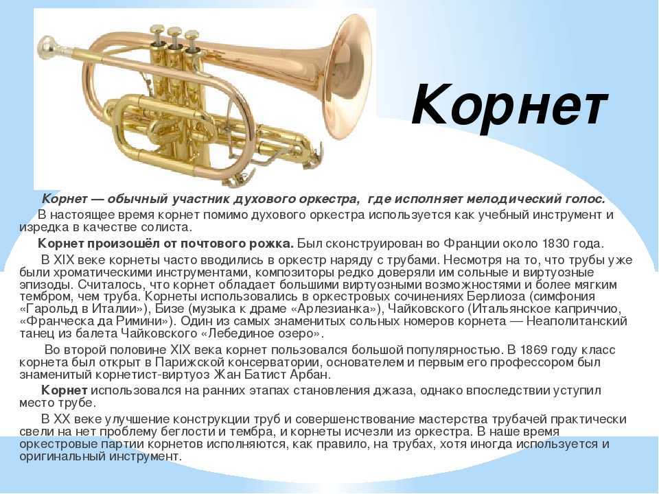 Фаготы. фагот: история, видео, интересные факты, слушать фагот история инструмента для детей
