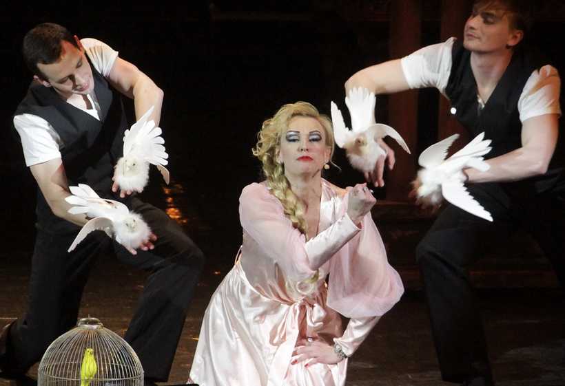 Оперетта дунаевского «женихи» (bridegrooms) | belcanto.ru