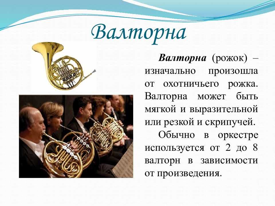 Фагот — музыкальный инструмент из вида свирелевых. фагот: история, видео, интересные факты, слушать к какой группе относится фагот