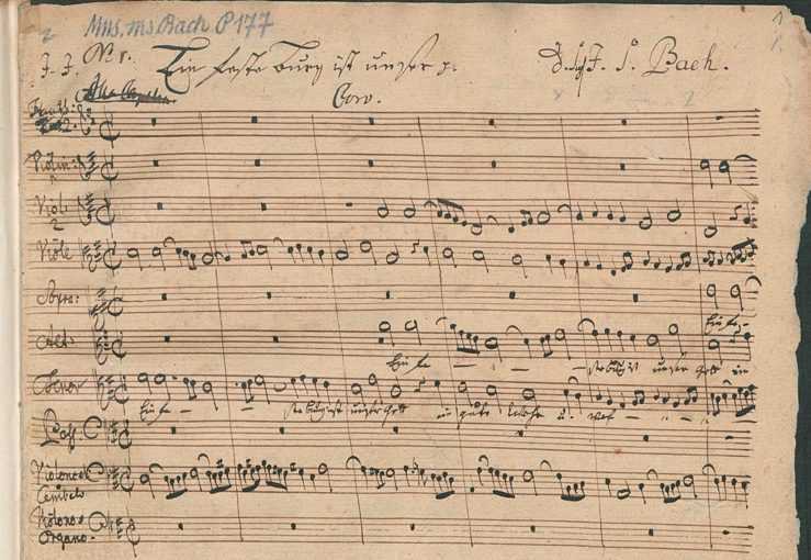 Бах. «кофейная кантата» (cantata bwv 211, the coffee cantata)