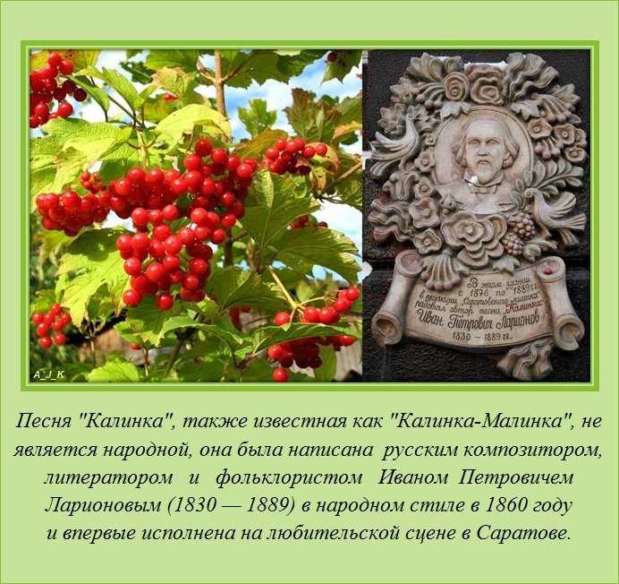 «калинка», интересные факты