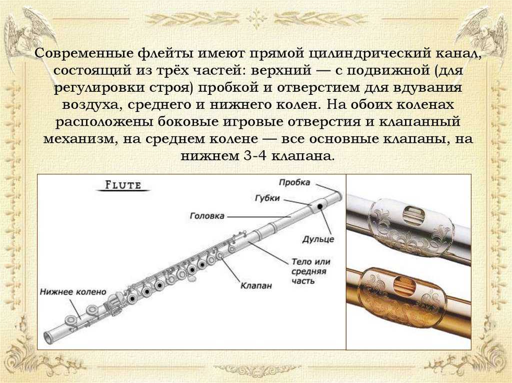 Концертина: описание инструмента, устройство, история, виды, как играть | plastinka-rip.ru