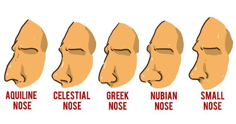 Нос / the nose - бинокль