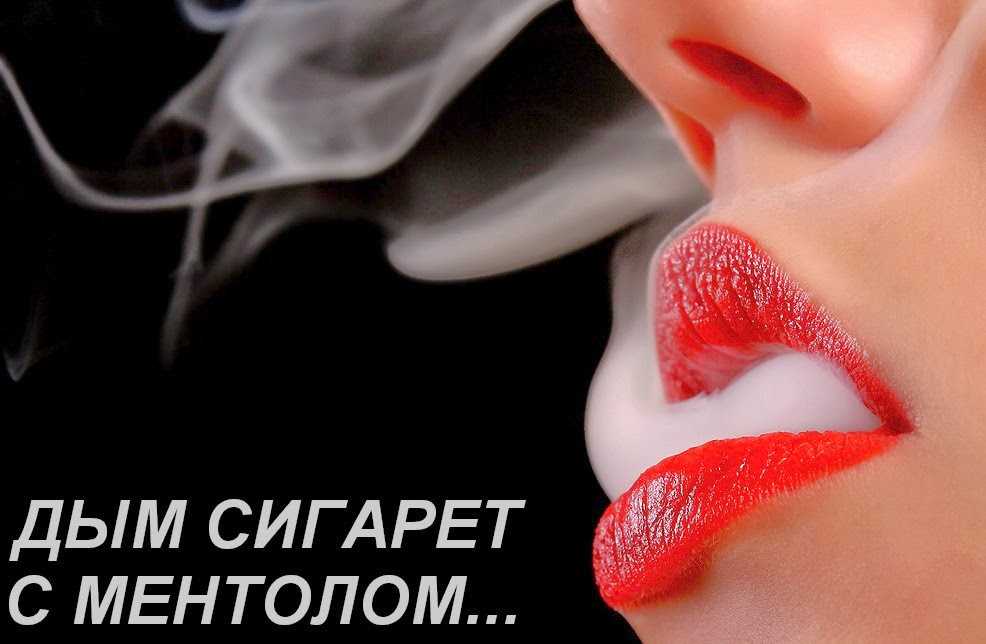 История появления песни "дым сигарет с ментолом": от автора до переложений