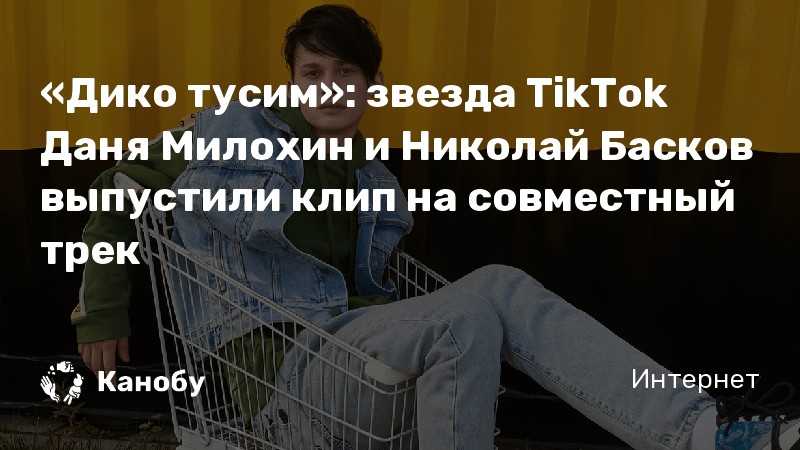 Дико тусим