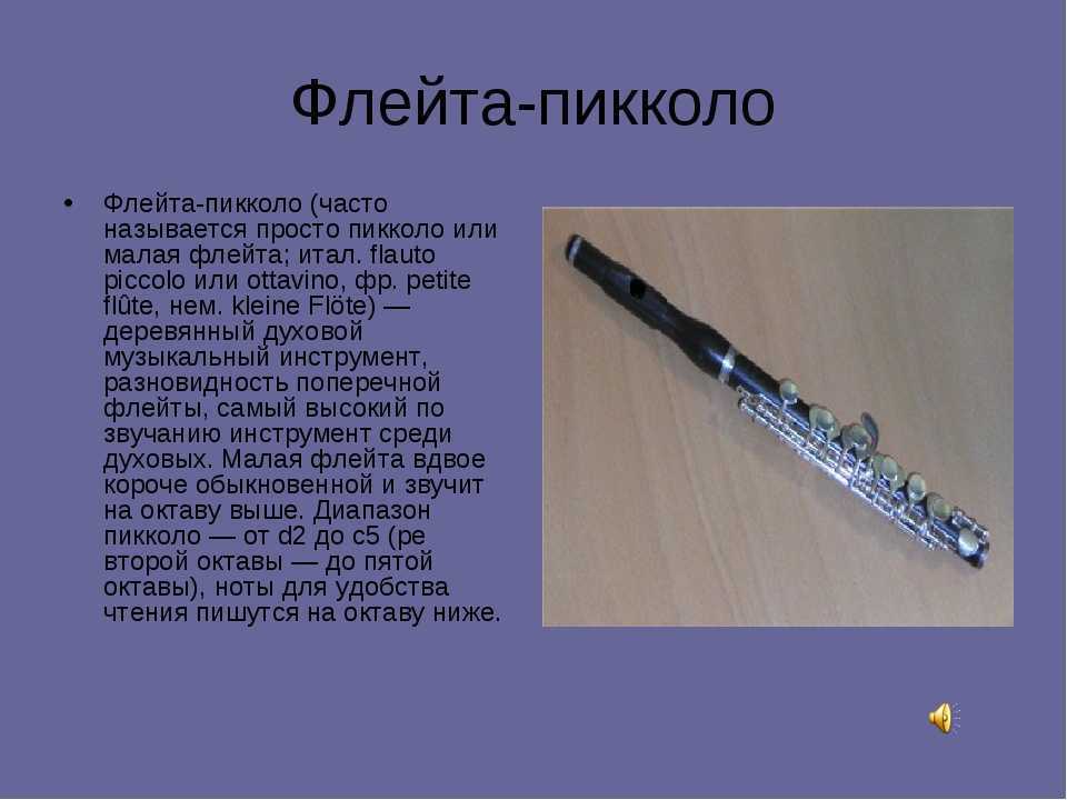 Флейта: что это такое, строение инструмента, звучание, история происхождения, виды | plastinka-rip.ru