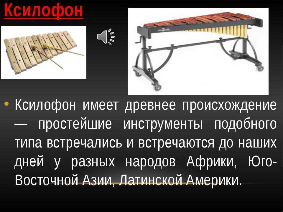 Что такое музыкальный библофон и чем он отличается от деревянно-воздушной формы — про музыкальный инструмент