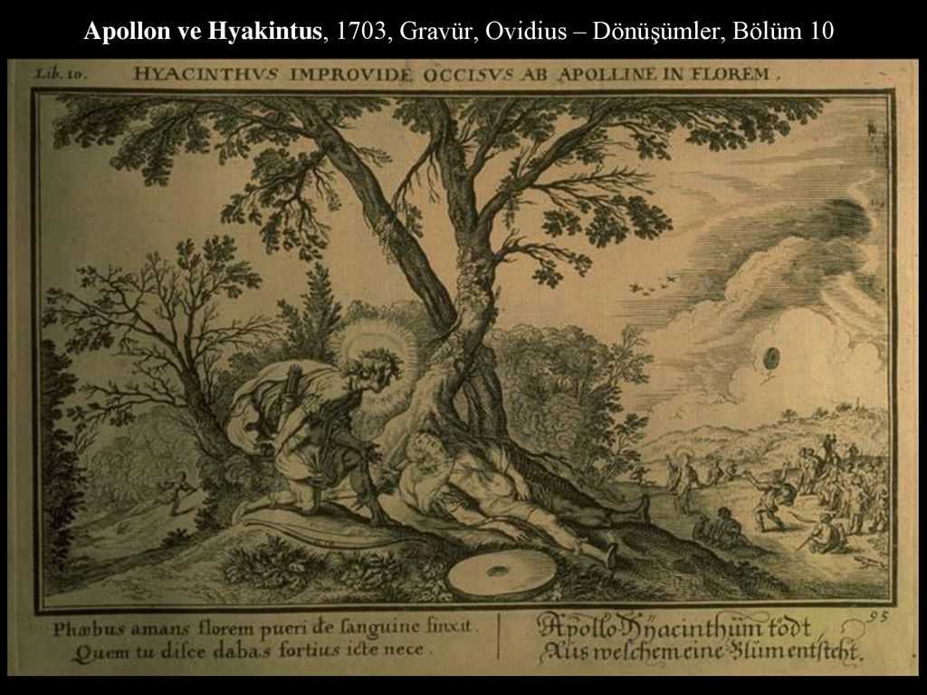 Список опер вольфганга амадея моцарта - list of operas by wolfgang amadeus mozart - dev.abcdef.wiki