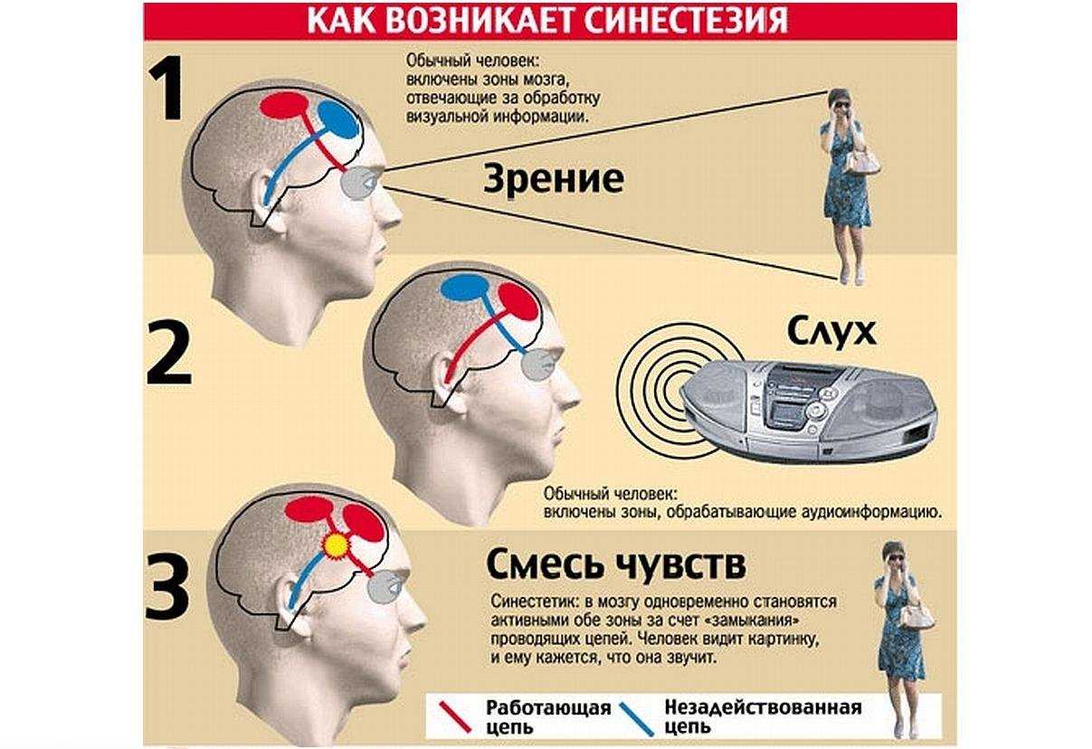Я вижу звук, я слышу цвет