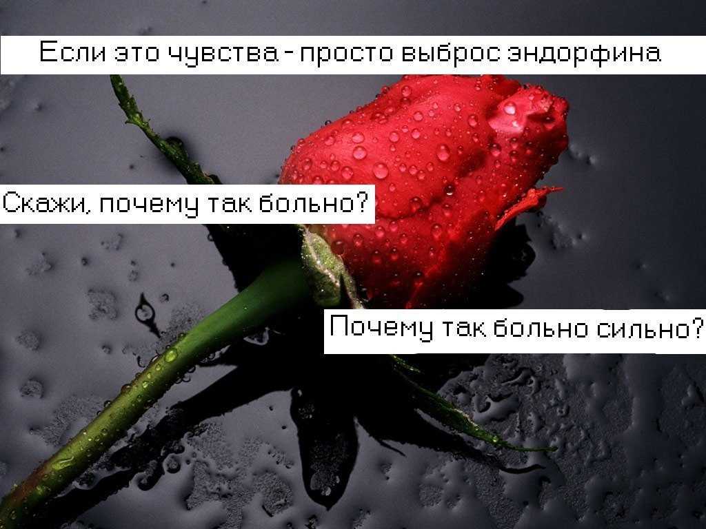 22 факта о максе корже: биография, карьера, личная жизнь