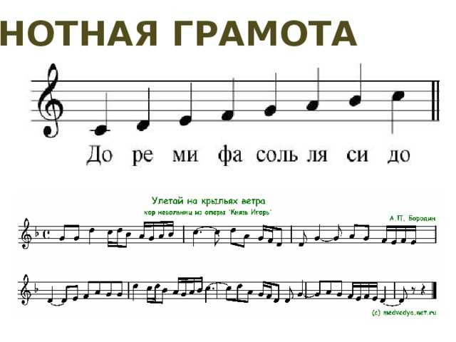 Основы, которые необходимо знать для чтения нотного текста