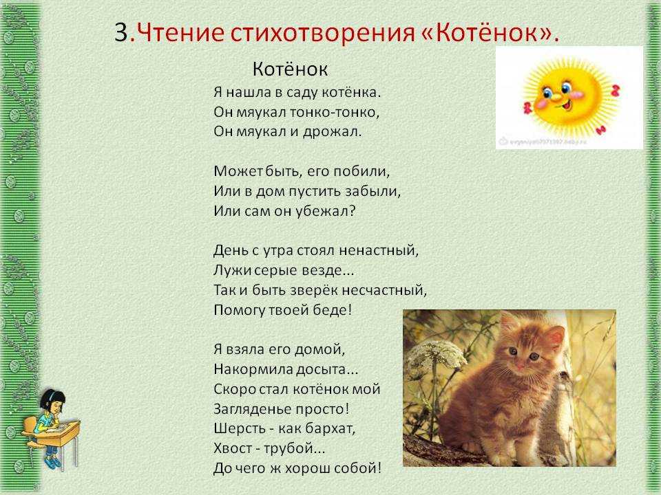 10 фактов о чёрных кошках, от которых волосы встают дыбом