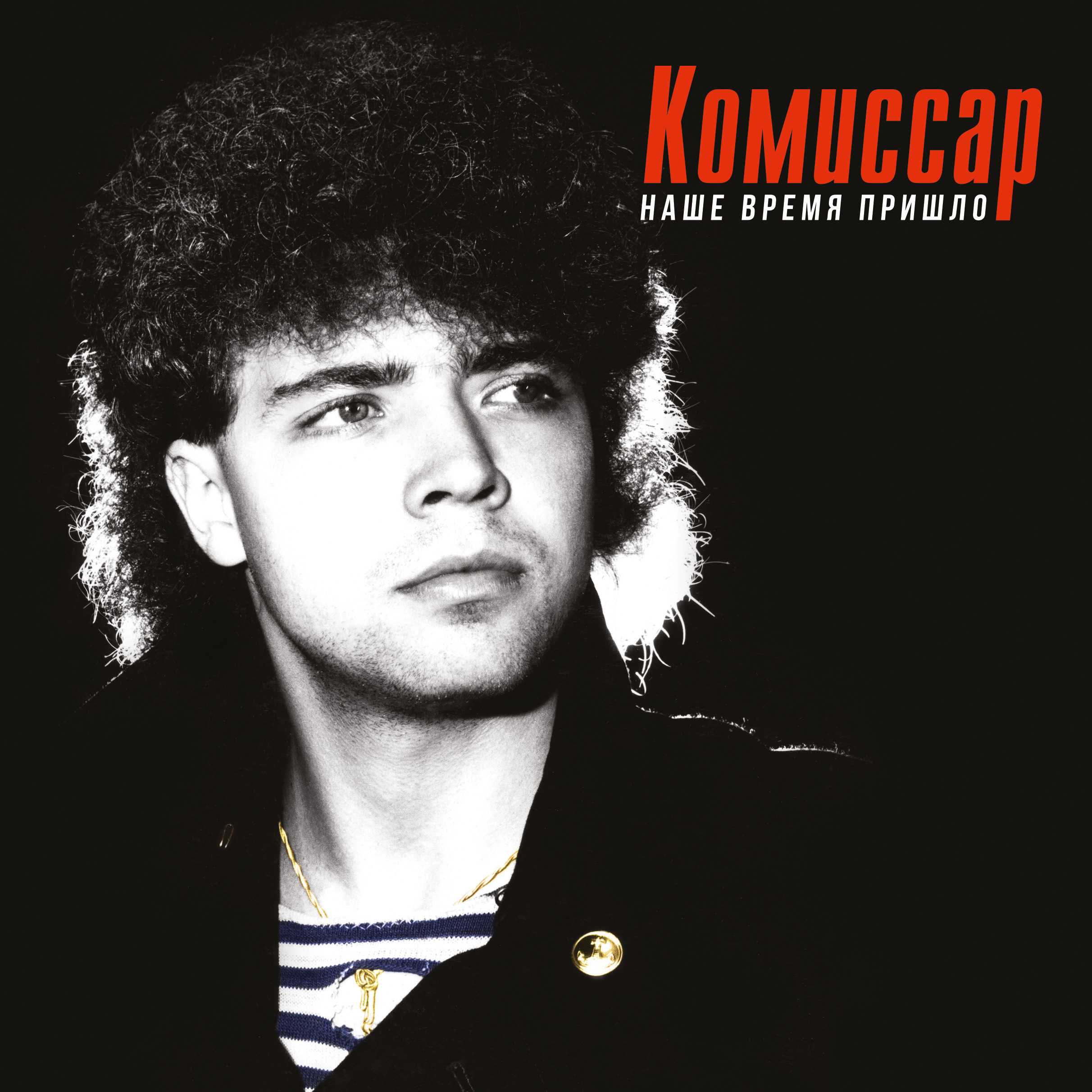 Группа «комиссар»
