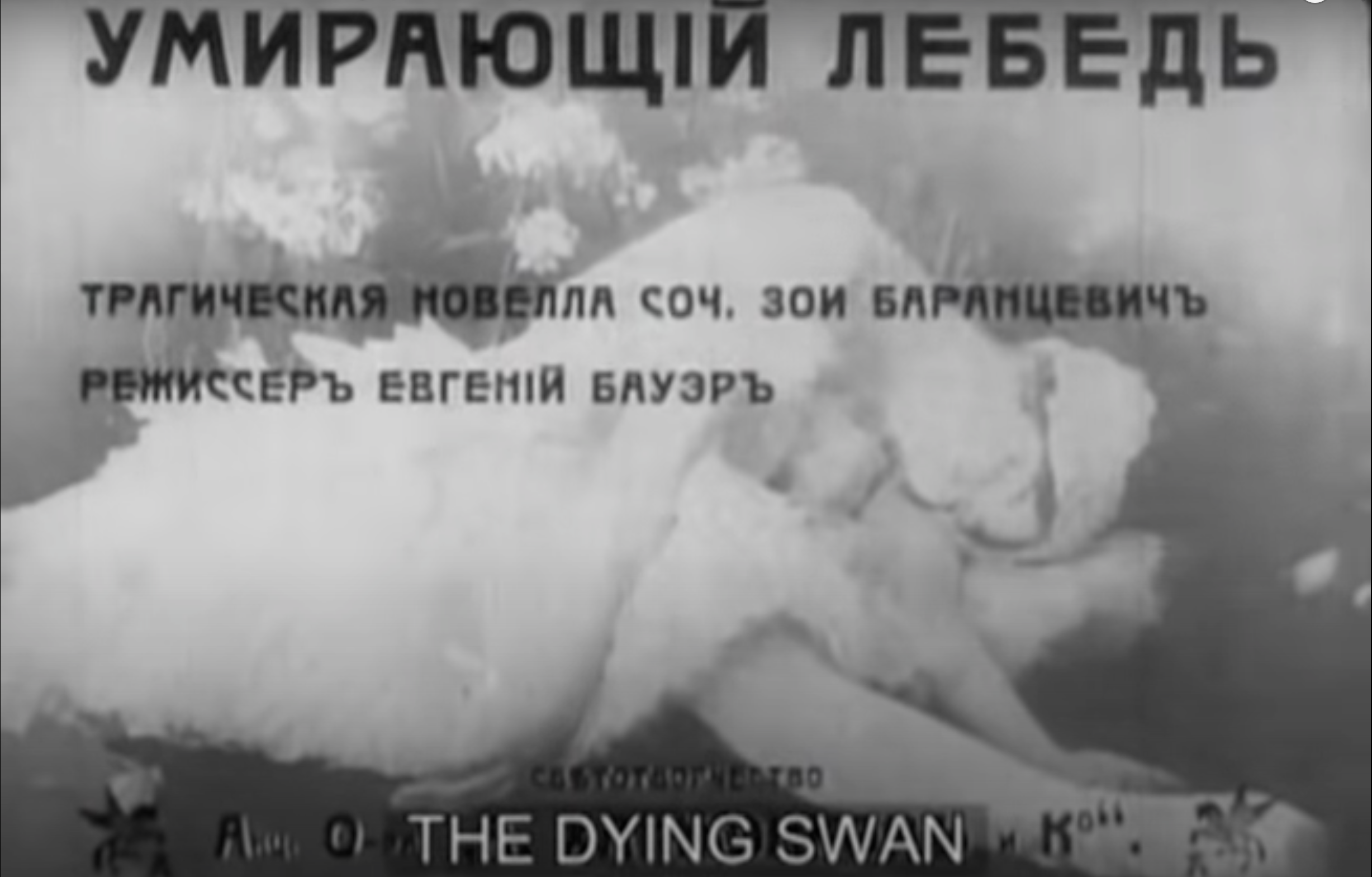 Умирающий лебедь - the dying swan - dev.abcdef.wiki