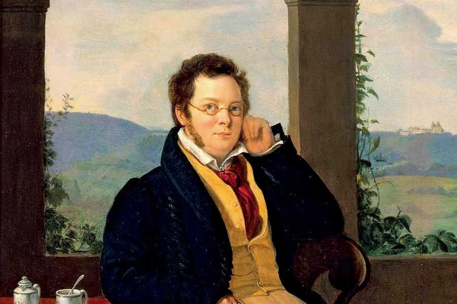 Франц шуберт биография, краткое содержание и самое важное, интересные факты о композиторе > 6 пчел