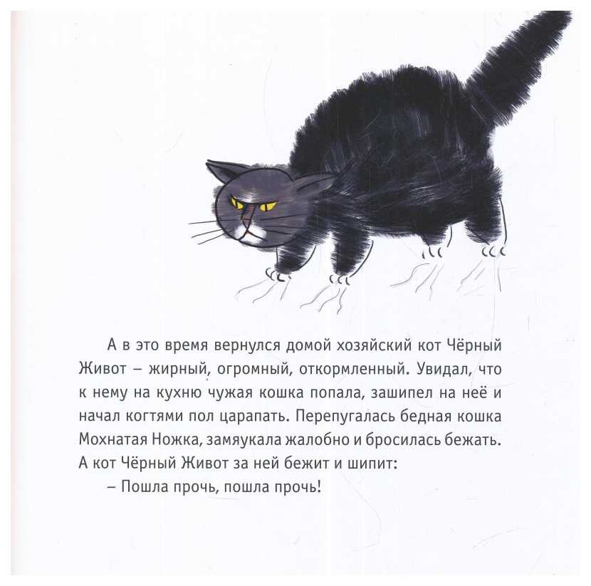 Стихотворение черный кот Введенский. Стих про черного кота. Стишки про черного кота. Стихи про черного кота короткие. Черный кот стихи