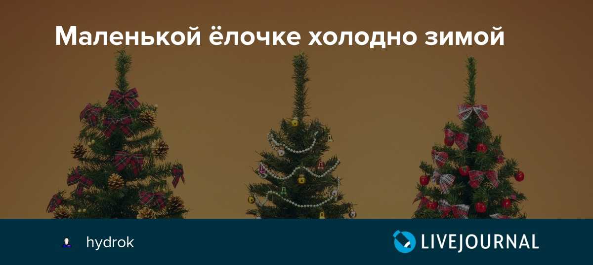 Что мы знаем об истории рождественских и новогодних хитов? «маленькой ёлочке...» и «песенка про пять минут»