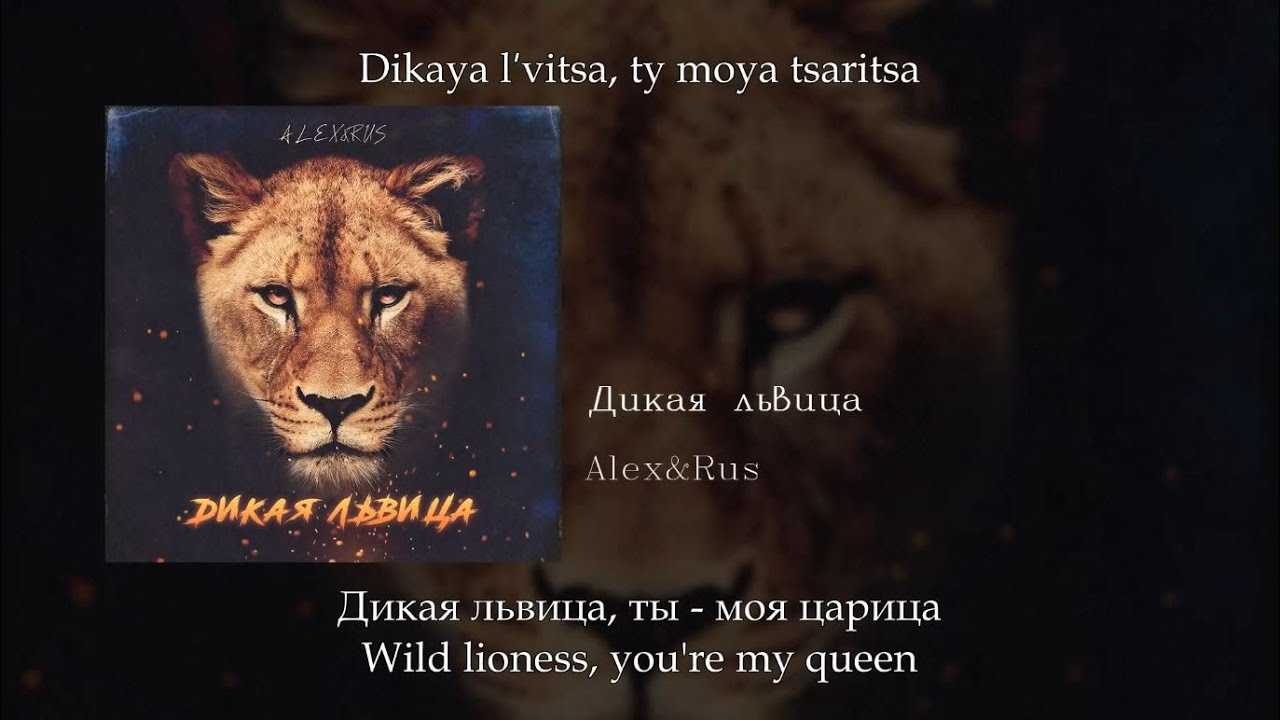 Дикая львица кто поет биография