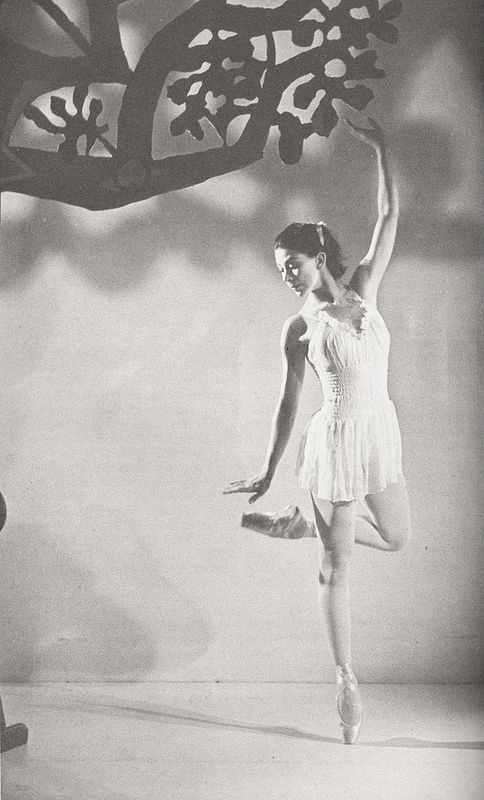Как чувства привели к нищете первую даму английского балета: марго фонтейн - новости,события,люди,факты - 6 марта - 43723617432 - медиаплатформа миртесен