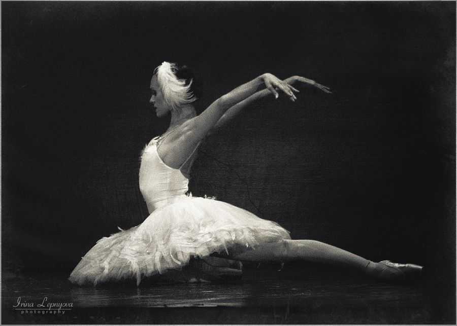Умирающий лебедь -the dying swan