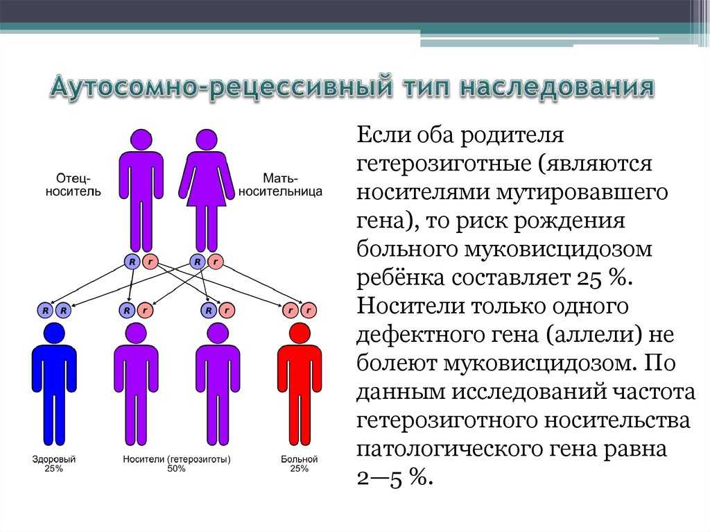 Трио-соната