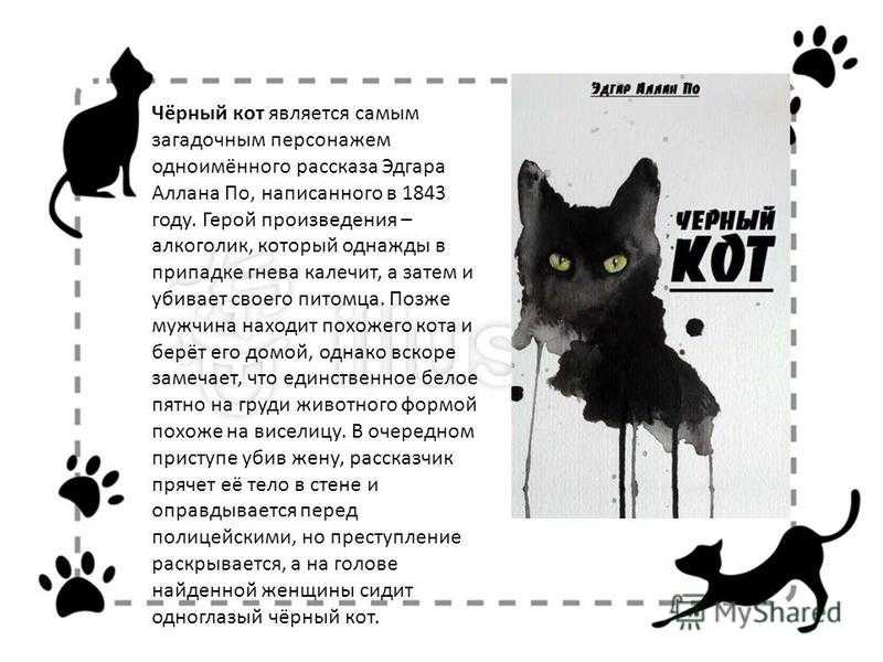 Черная кошка содержание. День черного кота. Стихотворение про черного кота. Международный день черного кота. Описание черного кота.