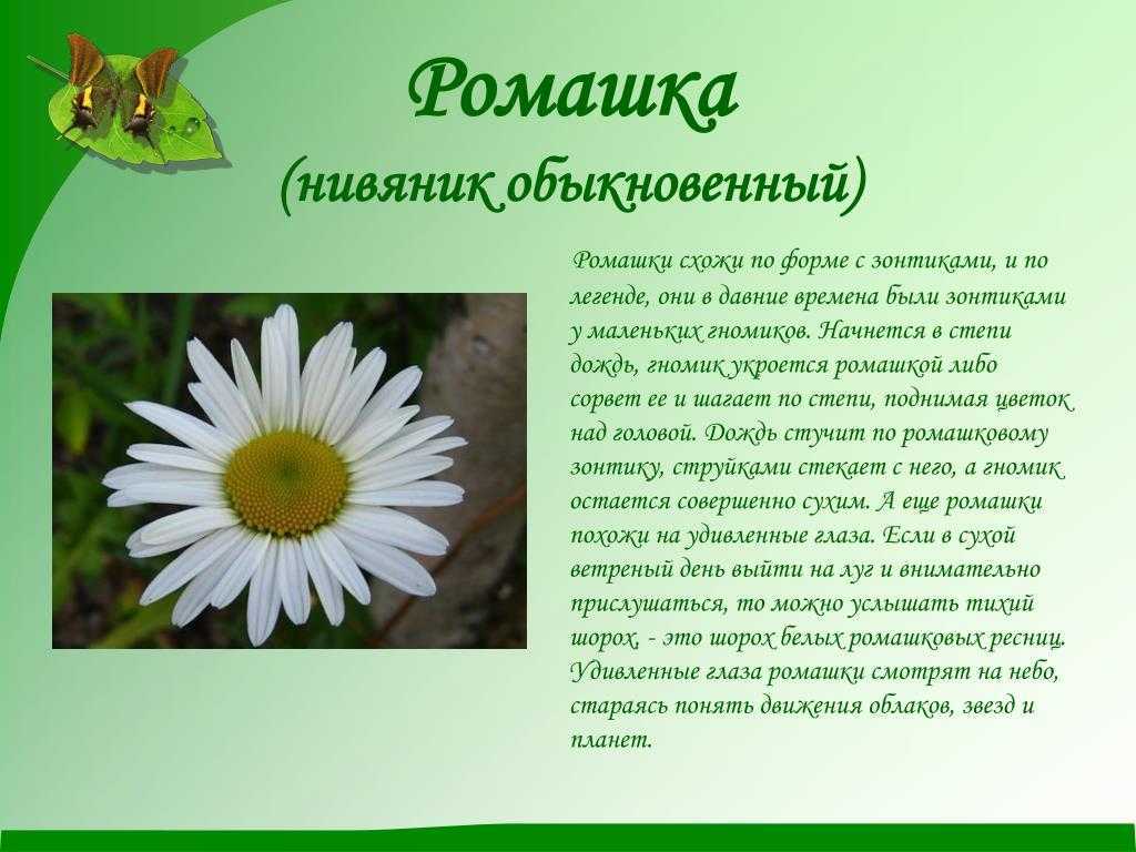 Ramil’ (рамиль алимов) – биография, фото, личная жизнь, клипы, карьера, девушка, рост и вес, слушать песни онлайн 2021