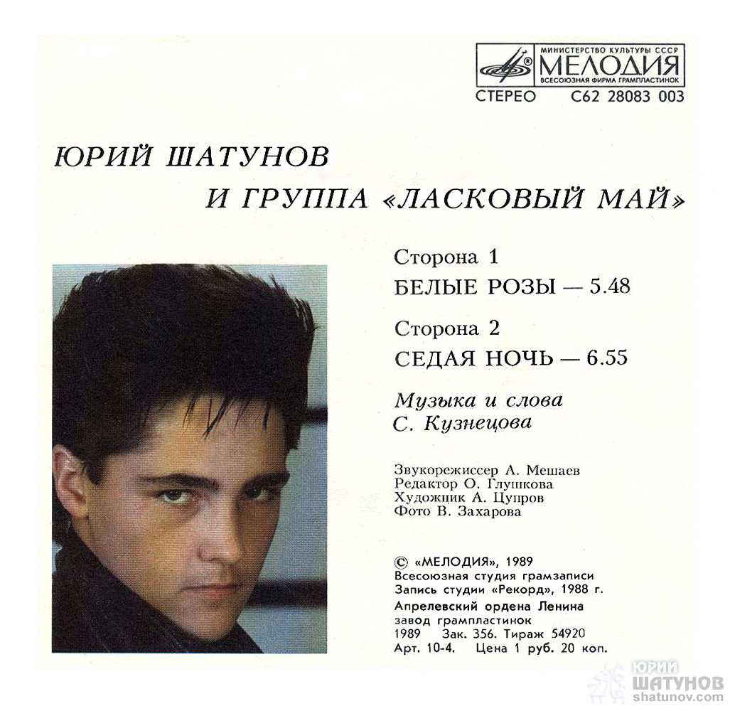 Смысл песни «белые розы» — юрий шатунов