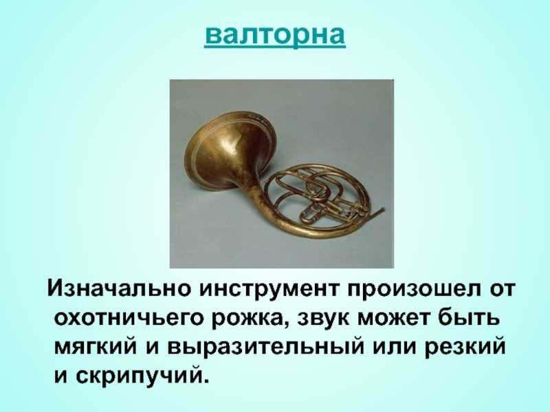 Валторна. рог. лучшие валторнисты