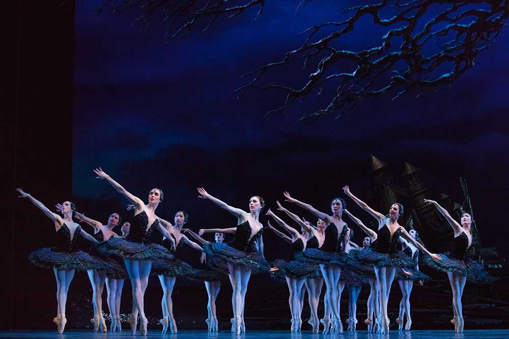 Swan lake in-the-round