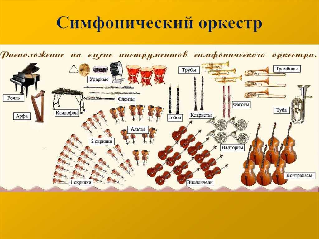 Виды симфонических инструментов