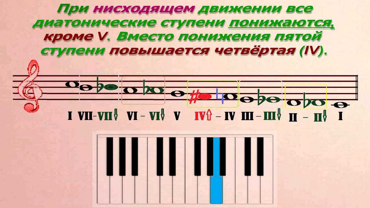 Диатонический и хроматический - diatonic and chromatic