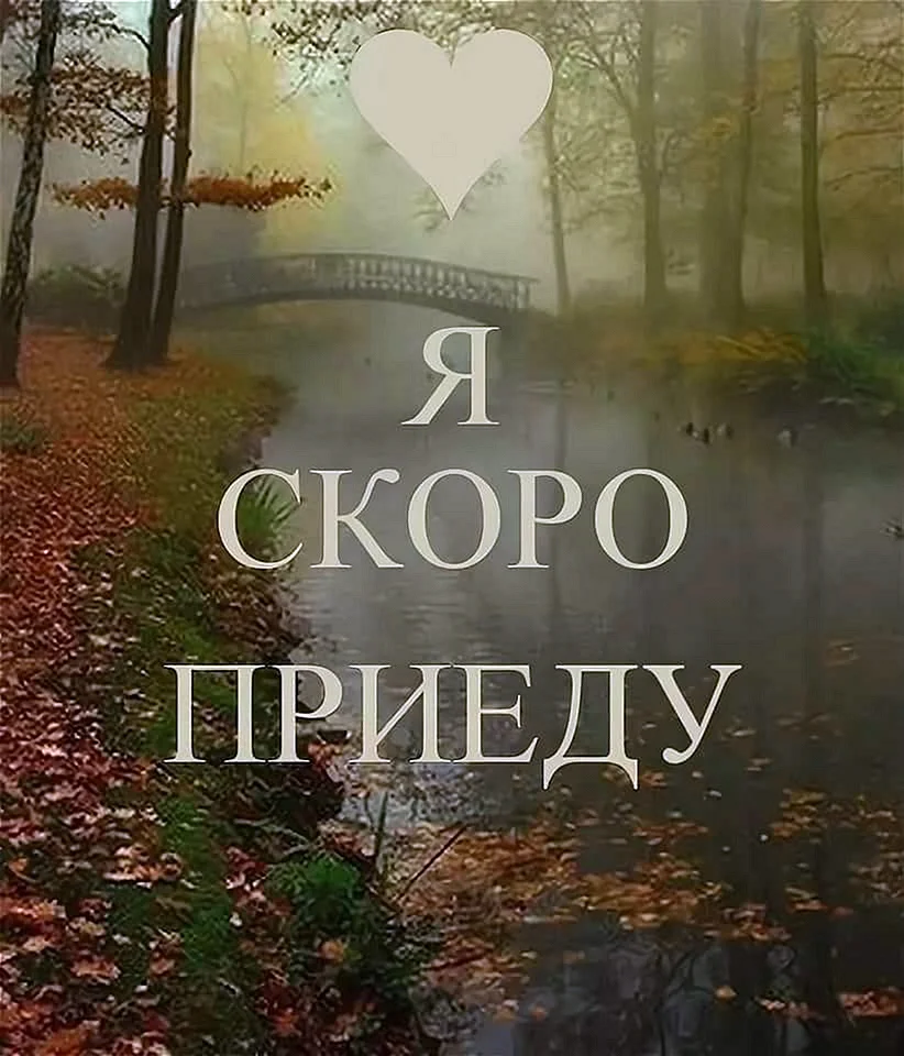 К тебе я буду приезжать | музыкальная жизнь