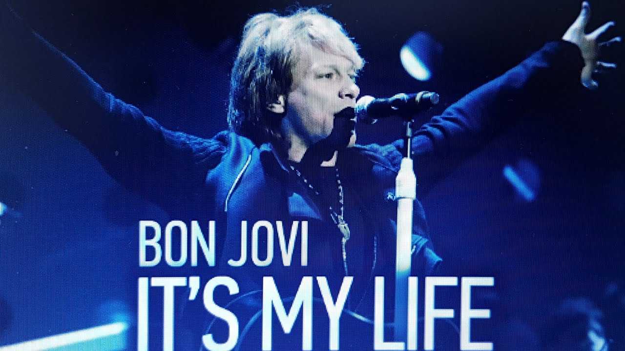 Текст и перевод песни it's my life (bon jovi) | englishdom