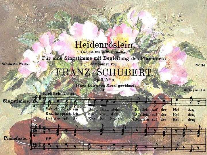 Schubert
						heidenroslein