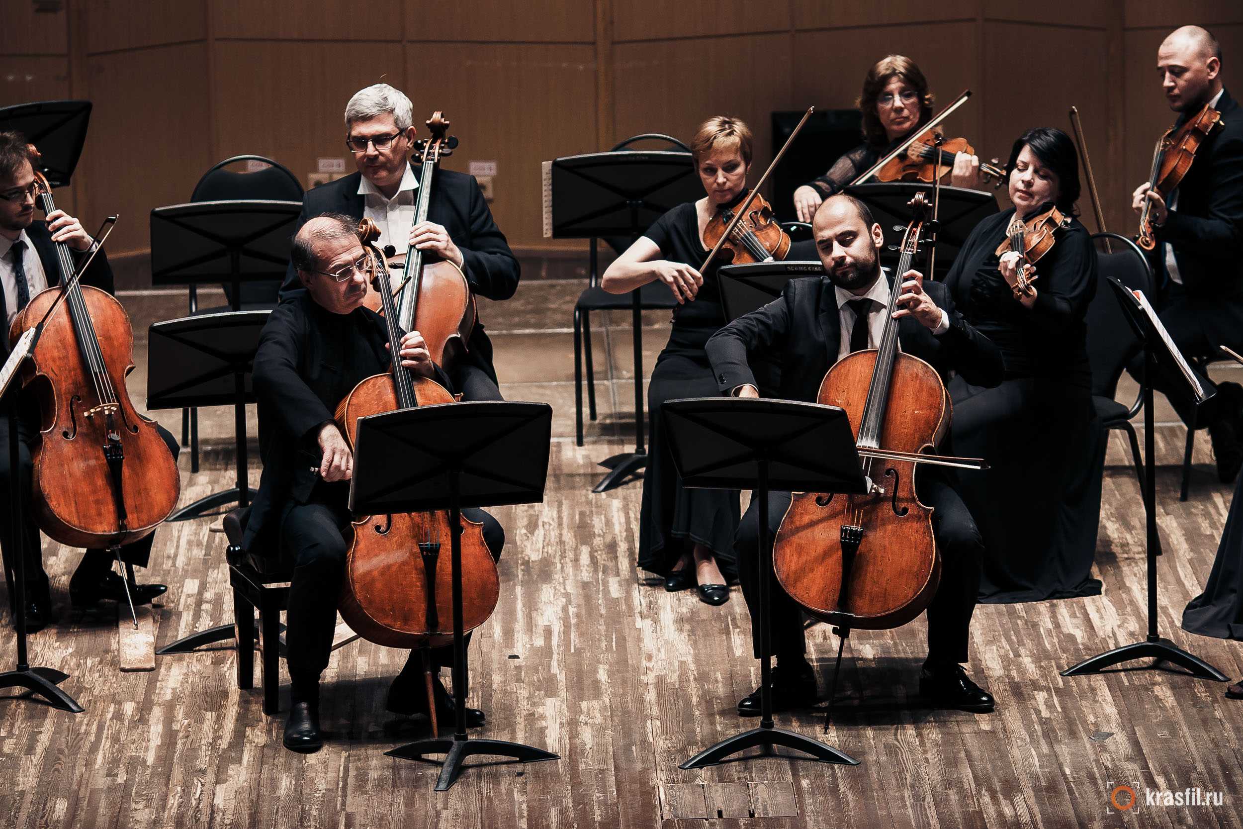 Вива оркестр. Московский камерный оркестр musica Viva. Камерный оркестр «musica Viva Australia». Московский камерный оркестр musica Viva состав. Концерт Московского камерного оркестра musica Viva.