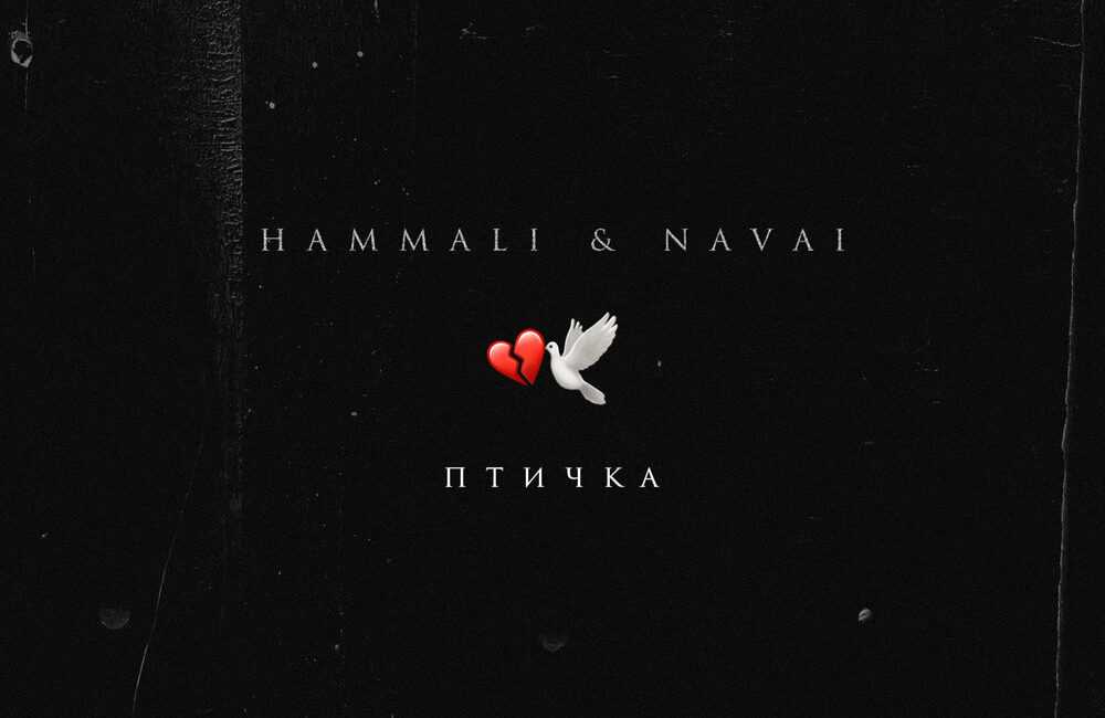 Включить песню птичка. Птичка HAMMALI Navai. Птичка хамали и Наваи обложка. HAMMALI Navai обложка. Птичка альбом HAMMALI Navai.