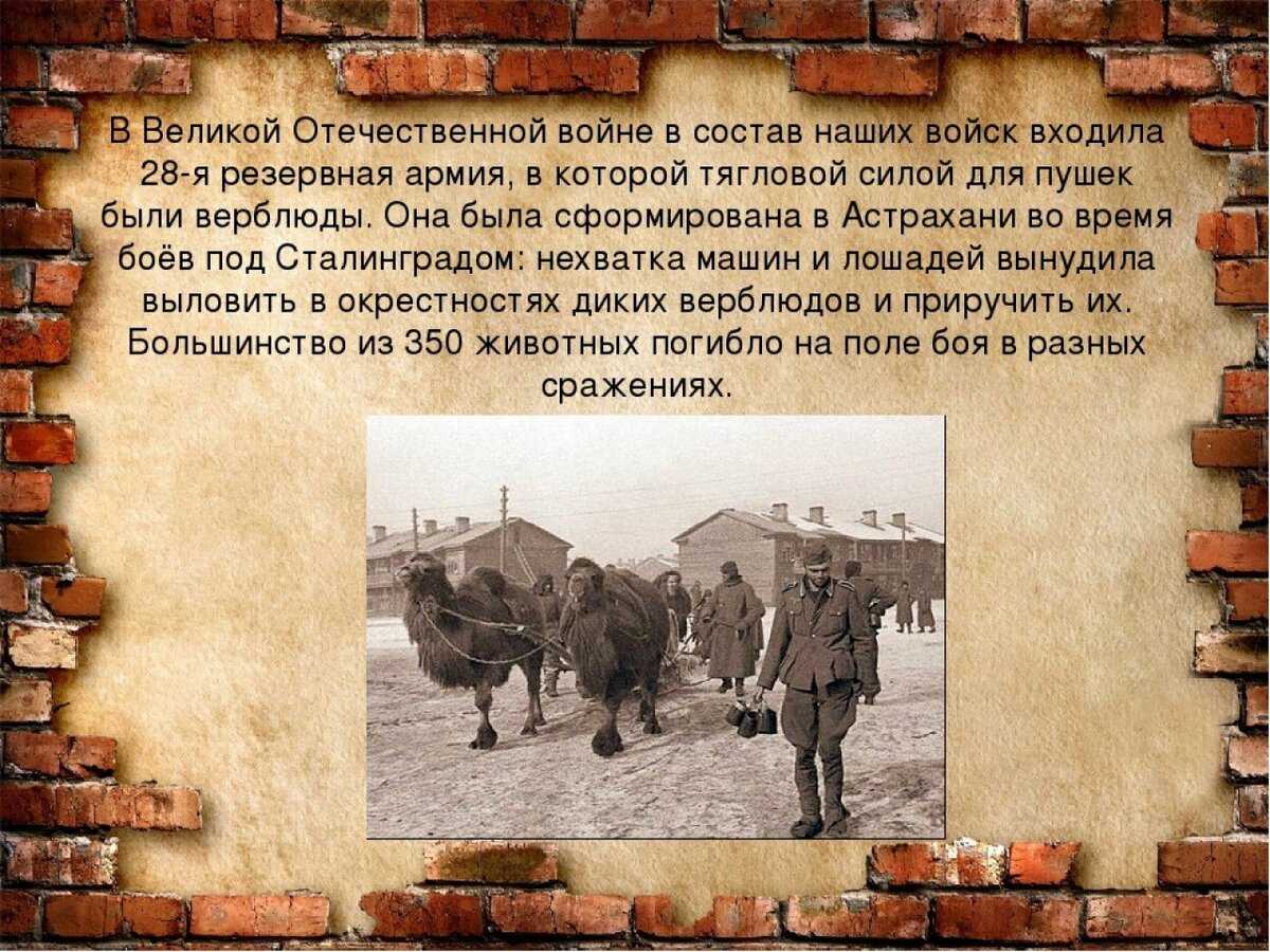 Текст песни война (фактор 2)